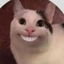 Profile picture of ‌نرجس آلاسماعیل‌