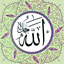 Profile picture of ‌م حاجی نژاد‌