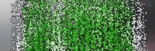 ‌Ad SM‌'s header picture
