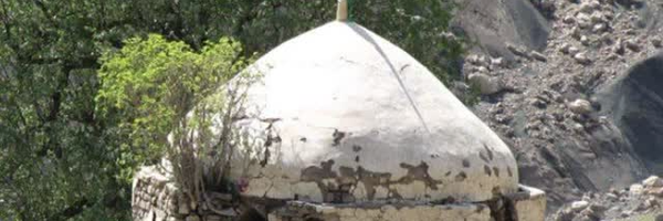 ‌سید محسن حسینی احمدفداله‌'s header picture