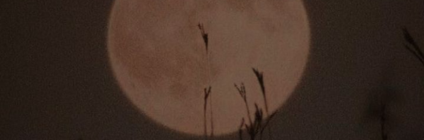 ‌هعی.... همون گوربه قبلی شونم^^‌'s header picture