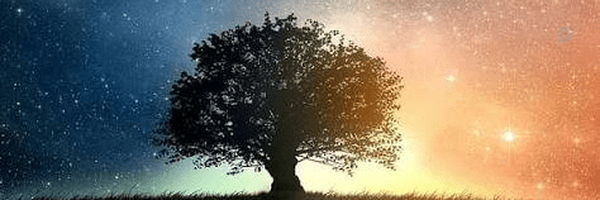 ‌Ali‌'s header picture