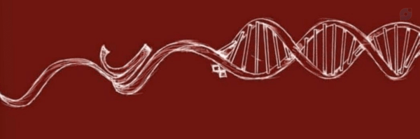 ‌مجنون الحسین‌'s header picture