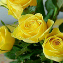 Profile picture of ‌farah p‌
