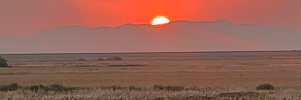 ‌Hamid rnj‌'s header picture