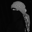 Profile picture of ‌Fatemeh‌