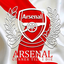 Profile picture of ‌arsenal fan‌