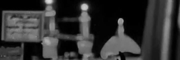 ‌افسر جنگ نرم‌'s header picture