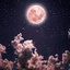 Profile picture of ‌مرد خدا‌