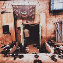 Profile picture of ‌التیام ؛‌