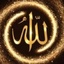 Profile picture of ‌کاشف‌