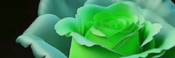 ‌ابراهیم اسکندری‌'s header picture