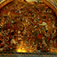 Profile picture of ‌Masih‌