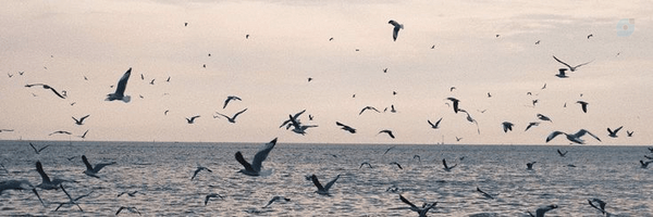 ‌خاتون؛‌'s header picture