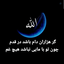 Profile picture of ‌Saeideh Kh‌