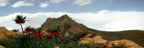 ‌شیخ شبانی‌'s header picture