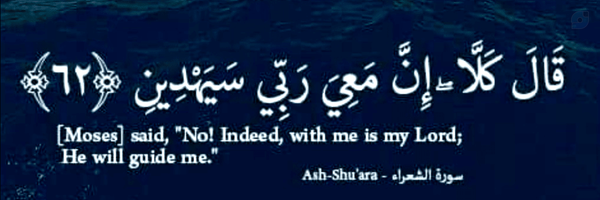 ‌محمدحسین‌'s header picture