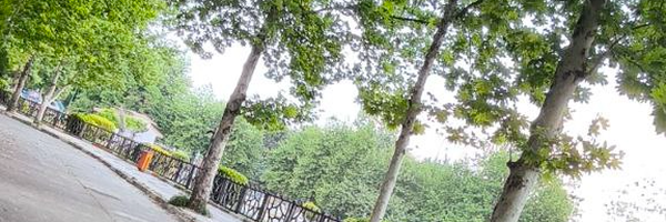 ‌آرامشـــــــ‌'s header picture