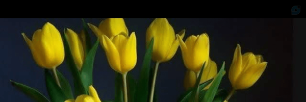 ‌باران عبدی‌'s header picture