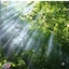 Profile picture of ‌Hadi Hoda‌