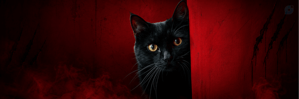 ‌وروجک‌'s header picture
