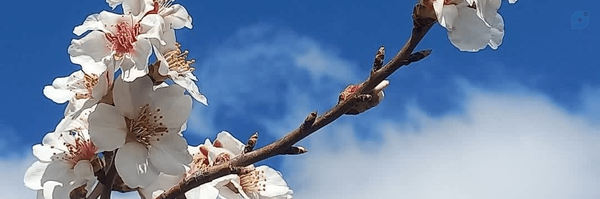 ‌مادر‌'s header picture