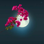 Profile picture of ‌سایه آشنا‌