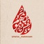 تُـوفِــیٖقِ شُـکْـر