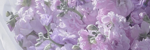 ‌Zahra Sadat‌'s header picture
