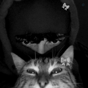 Profile picture of ‌Bangchan boyfriend Bahng‌