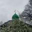 Profile picture of ‌گل نرگس‌