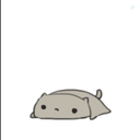 Profile picture of ‌Idk‌
