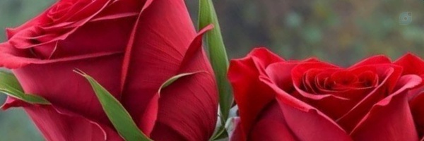 ‌یا مهدی ادرکنی‌'s header picture