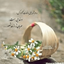 Profile picture of ‌شبتاب‌