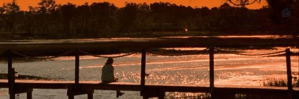 User's header picture