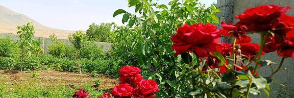 ‌Abolfazl Kheiri‌'s header picture