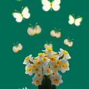 Profile picture of ‌زنده باد حقیقت‌