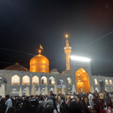 Profile picture of ‌علی محمودی‌