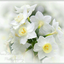 Profile picture of ‌منیره پرند‌