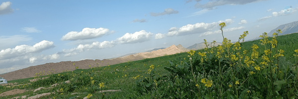 ‌فاطمه‌'s header picture