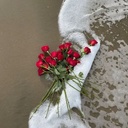 Profile picture of ‌یامهدی ادرکنی🌼‌