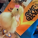 Profile picture of ‌مُنج در رویداد کتابنوش ۱۰۰۹‌