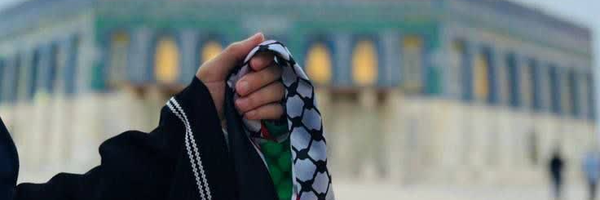 ‌نوژآ🇵🇸‌'s header picture