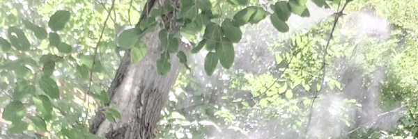 ‌محمود ورداسبی‌'s header picture