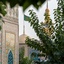 Profile picture of ‌سلام آقا‌