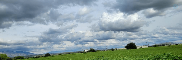 ‌نیووِرژِن‌'s header picture