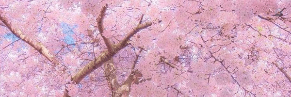 ‌𓏲 ๋࣭ 𝗻𝗮𝗳𝗮𝘀 ˖ ࣪⭑‌'s header picture
