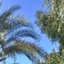 Profile picture of ‌دخترِ شیرین بهار‌
