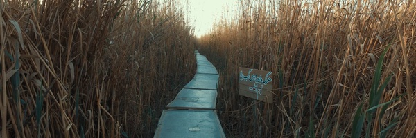 ‌منتقم الزهرا‌'s header picture
