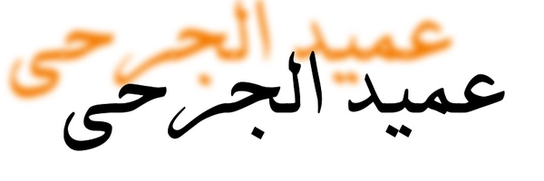 ‌مصطفى قرمان عميد الجرحى‌'s header picture